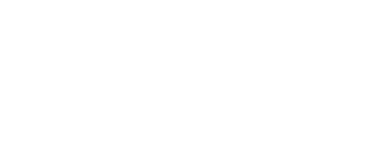 Miami Swim Week®: The Shows